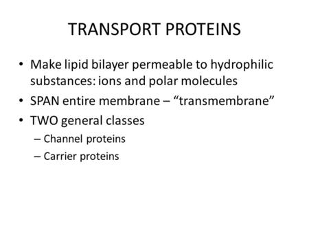 TRANSPORT PROTEINS Make lipid bilayer permeable to hydrophilic substances: ions and polar molecules SPAN entire membrane – “transmembrane” TWO general.