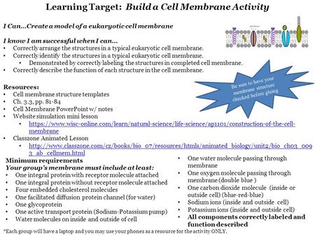 Learning Target: Build a Cell Membrane Activity