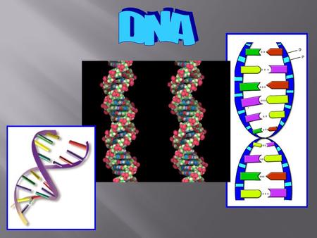 DNA.