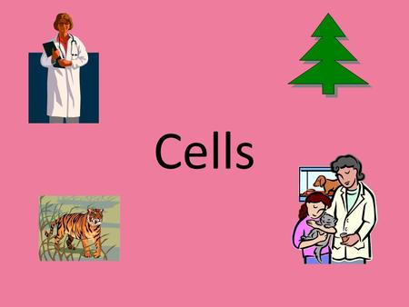 Cells.