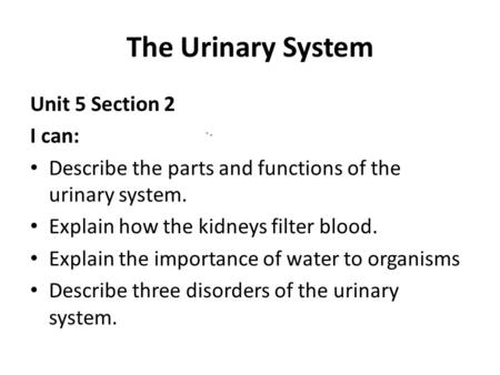 The Urinary System Unit 5 Section 2 I can: