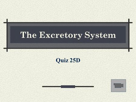 The Excretory System Quiz 25D.