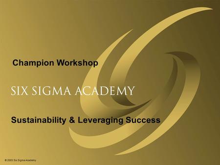 © 2003 Six Sigma Academy Sustainability & Leveraging Success Champion Workshop.