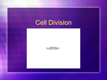 Cell Division. Why do we grow? Do our cells get bigger? NO: organisms grow because they produce more cells, not larger ones. A baby’s cells are the same.