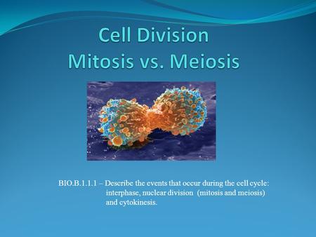 BIO.B.1.1.1 – Describe the events that occur during the cell cycle: interphase, nuclear division (mitosis and meiosis) and cytokinesis.