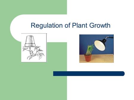 Regulation of Plant Growth