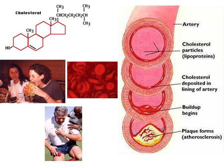 The Cholesterol Content of Selected Meats and Dairy Products. Cholesterol and fats transported thru bloodstream in the form of round particles called.