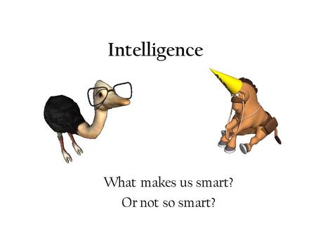 What makes us smart? Or not so smart?