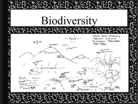 Biodiversity What is Biodiversity? Biodiversity is the rich variety of life on Earth. –There are 3 kinds of biodiversity Variety of genes –Poodles, beagles,