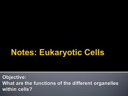 Objective: What are the functions of the different organelles within cells?