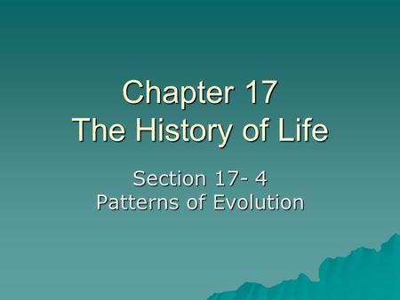 Chapter 17 The History of Life