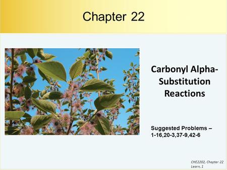 Carbonyl Alpha-Substitution Reactions