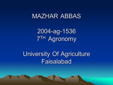 MAZHAR ABBAS ag TH  Agronomy  University Of Agriculture Faisalabad