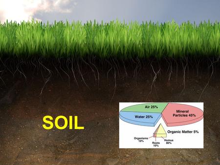 SOIL.