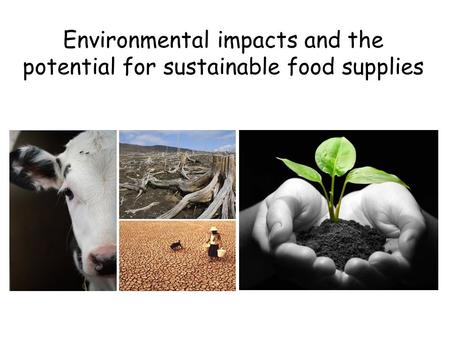 Environmental impacts and the potential for sustainable food supplies.