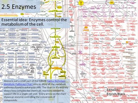 Essential idea: Enzymes control the metabolism of the cell.