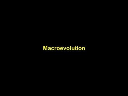 Macroevolution. Gradualism & saltation Gradualism: large changes in phenotypic characters have evolved through many slightly different intermediate states.