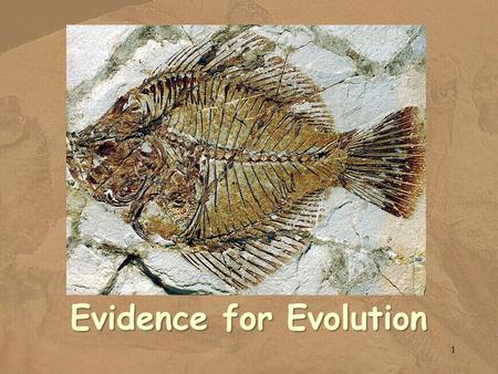 Evidence for Evolution