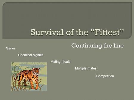 Continuing the line Genes Mating rituals Chemical signals Multiple mates Competition.