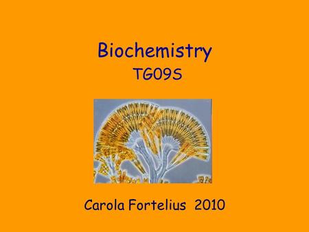 Biochemistry TG09S Carola Fortelius 2010. C.Fortelius Microbiology and Biochemistry 2010 2 Classes of biomolecules.