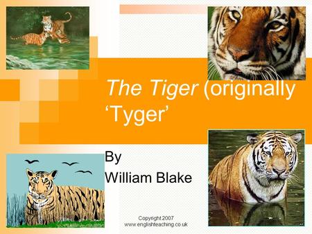 Copyright 2007 www.englishteaching.co.uk The Tiger (originally ‘Tyger’ By William Blake.