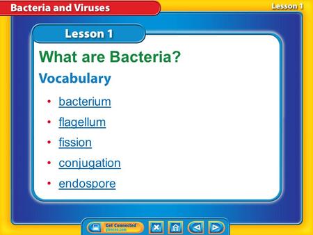 Lesson 1 Reading Guide - Vocab