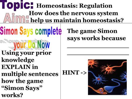 Using your prior knowledge EXPLAIN in multiple sentences how the game “Simon Says” works? Homeostasis: Regulation How does the nervous system help us.