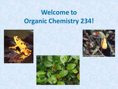 Welcome to Organic Chemistry 234!