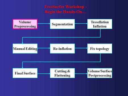 Volume Preprocessing Segmentation Tessellation Inflation Manual EditingRe-inflationFix topology Final Surface Volume/Surface Postprocessing Cutting & Flattening.