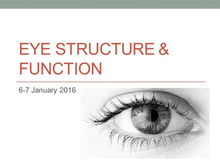 Eye structure & function