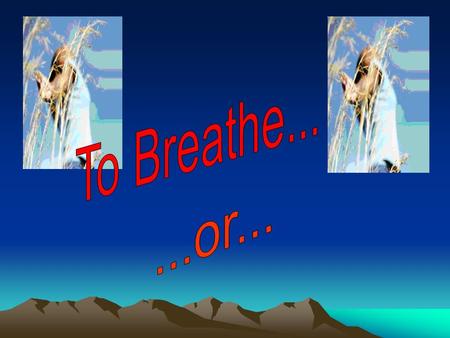 Green Wisdom There is so much pollution in the air that if it weren’t for our lungs, there would be no place to put it all! Robert Orben, USA comedy.