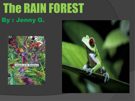 The RAIN FOREST By : Jenny G..