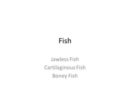 Jawless Fish Cartilaginous Fish Boney Fish