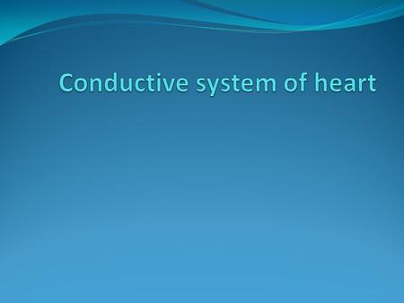 Conductive system of heart