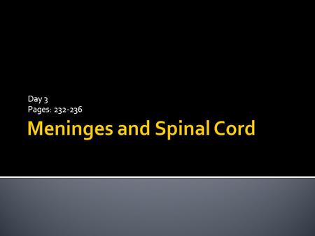 Meninges and Spinal Cord