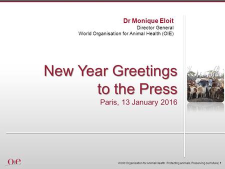 New Year Greetings to the Press Paris, 13 January 2016