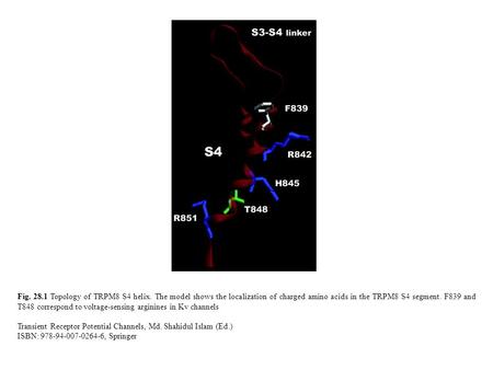 Fig. 28.1 Topology of TRPM8 S4 helix. The model shows the localization of charged amino acids in the TRPM8 S4 segment. F839 and T848 correspond to voltage-sensing.