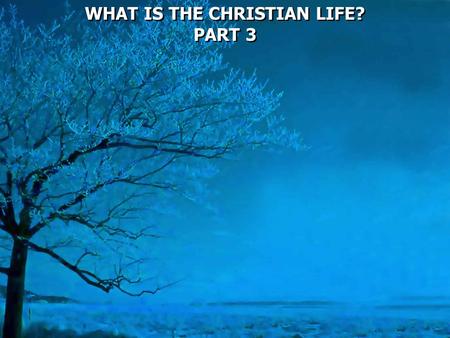 WHAT IS THE CHRISTIAN LIFE? PART 3 WHAT IS THE CHRISTIAN LIFE? PART 3.