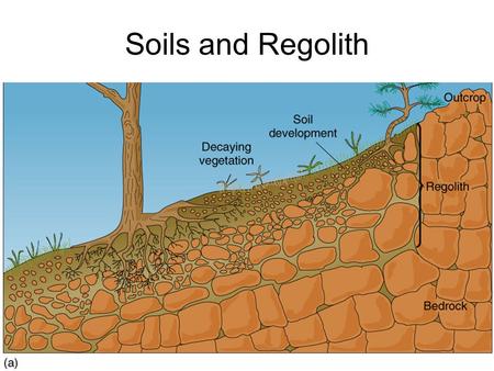 Soils and Regolith.