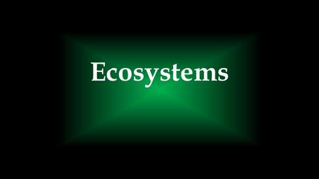 Ecosystems. What might you find in a rainforest?