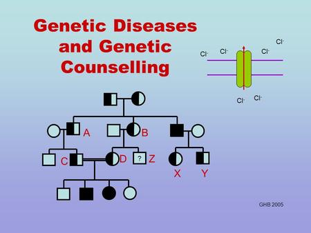 Genetic Diseases and Genetic Counselling Z ? AB C D XY Cl - GHB 2005.