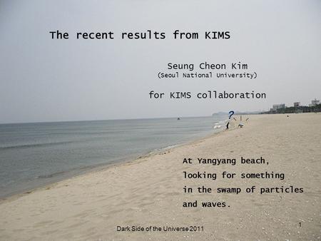 ? At Yangyang beach, looking for something in the swamp of particles and waves. 1 The recent results from KIMS Seung Cheon Kim (Seoul National University)