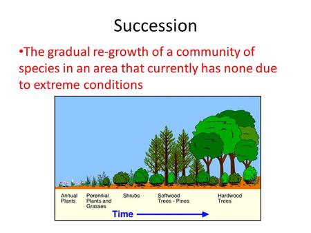 Succession The gradual re-growth of a community of species in an area that currently has none due to extreme conditions.