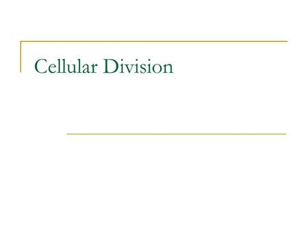 Cellular Division.