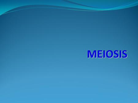 MEIOSIS.