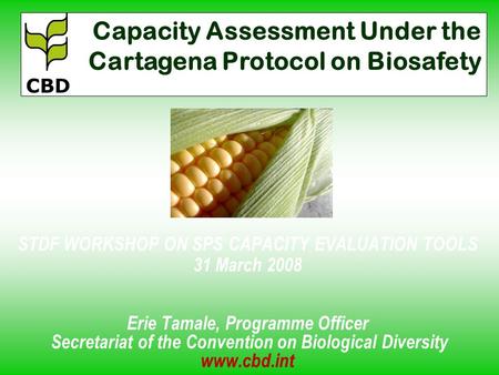 STDF WORKSHOP ON SPS CAPACITY EVALUATION TOOLS 31 March 2008 Erie Tamale, Programme Officer Secretariat of the Convention on Biological Diversity www.cbd.int.