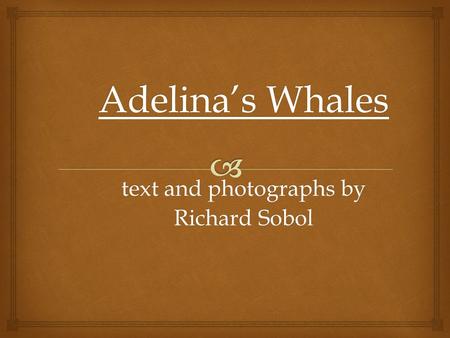 Adelina’s Whales text and photographs by Richard Sobol