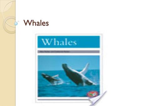 Whales Number of pages There is 16 pages in this book.