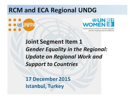 Joint Segment Item 1 Gender Equality in the Regional: Update on Regional Work and Support to Countries 17 December 2015 Istanbul, Turkey RCM and ECA Regional.