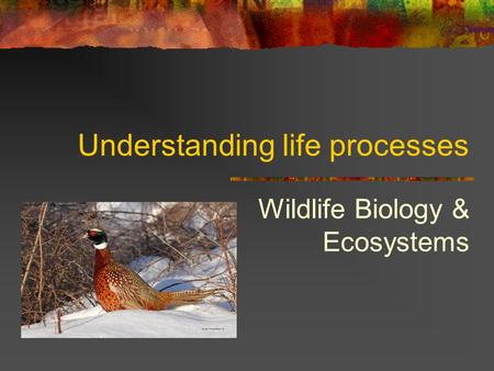 Understanding life processes Wildlife Biology & Ecosystems.